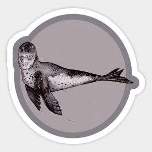 Leopard Seal Sticker